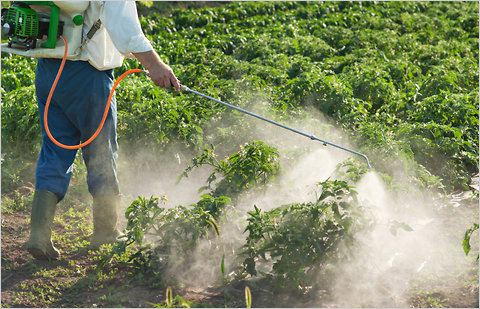 2well_pesticide-blog4802.jpg